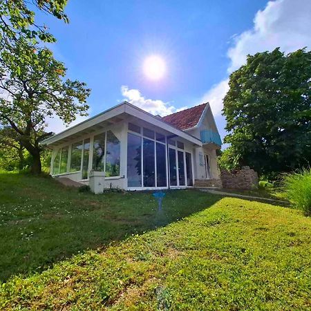 Honey Hill Apartment Fruska Gora Cerevic ภายนอก รูปภาพ