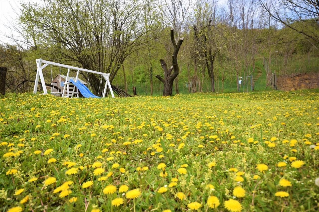 Honey Hill Apartment Fruska Gora Cerevic ภายนอก รูปภาพ