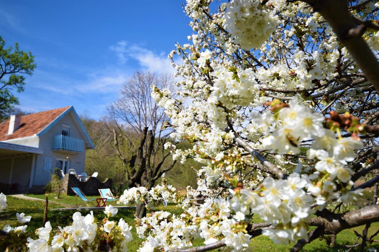 Honey Hill Apartment Fruska Gora Cerevic ภายนอก รูปภาพ
