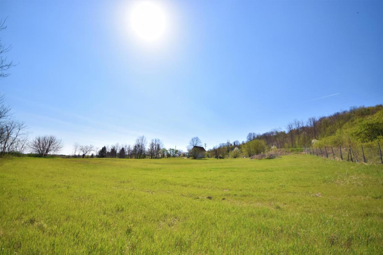 Honey Hill Apartment Fruska Gora Cerevic ภายนอก รูปภาพ