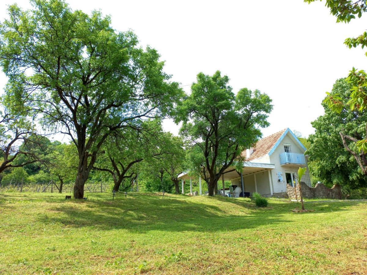 Honey Hill Apartment Fruska Gora Cerevic ภายนอก รูปภาพ