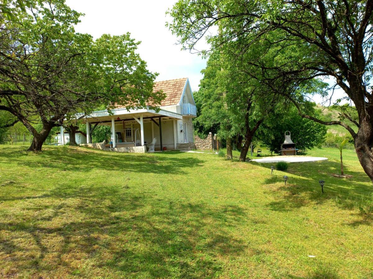 Honey Hill Apartment Fruska Gora Cerevic ภายนอก รูปภาพ