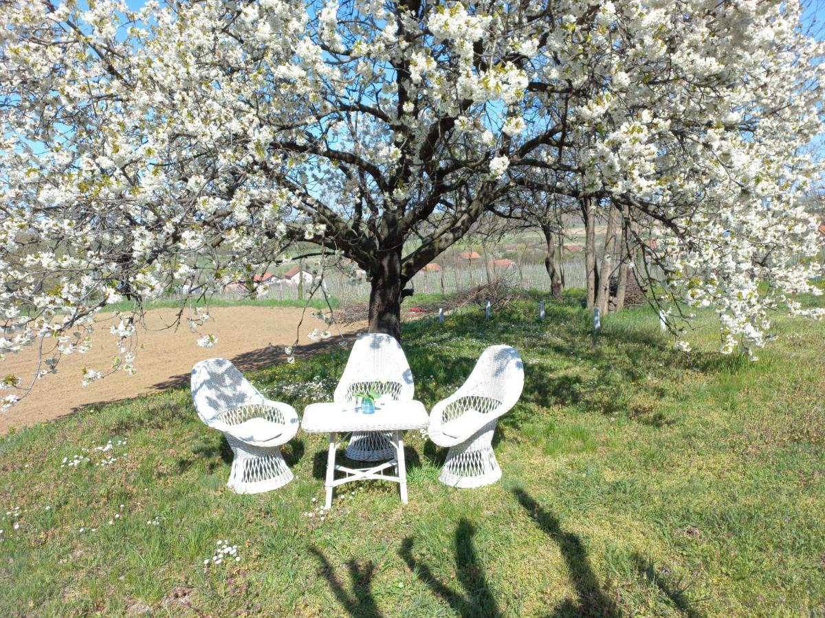 Honey Hill Apartment Fruska Gora Cerevic ภายนอก รูปภาพ