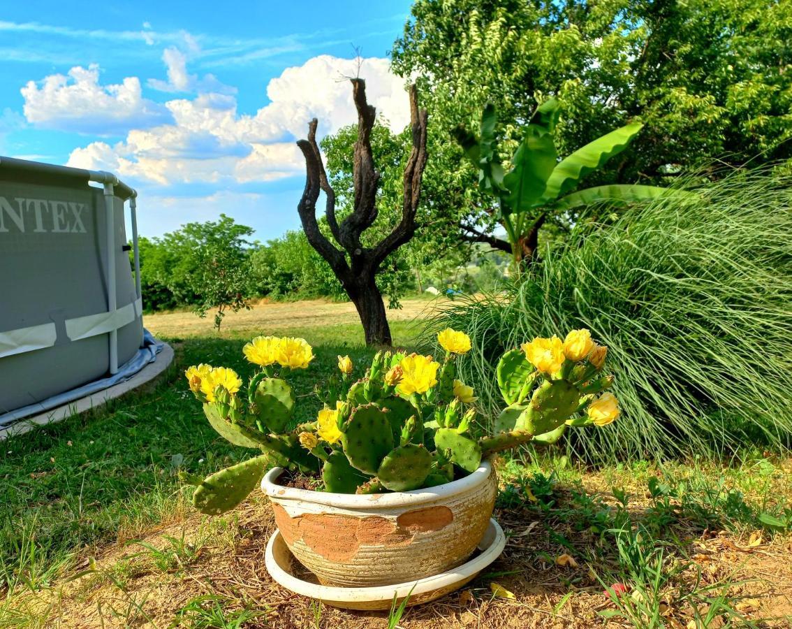 Honey Hill Apartment Fruska Gora Cerevic ภายนอก รูปภาพ