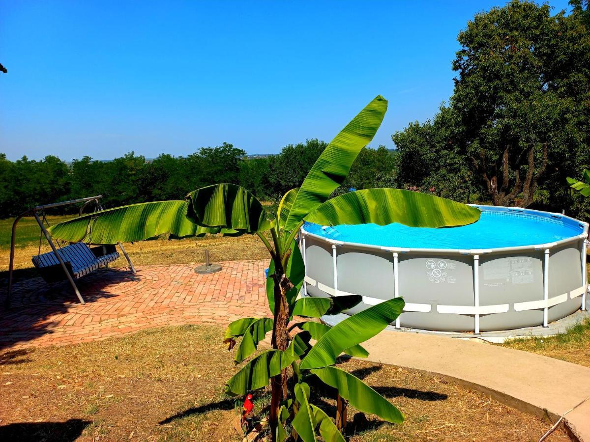 Honey Hill Apartment Fruska Gora Cerevic ภายนอก รูปภาพ