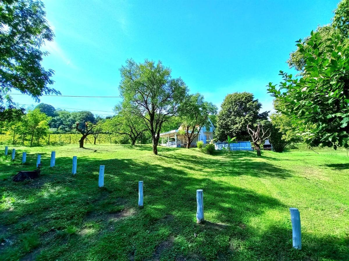 Honey Hill Apartment Fruska Gora Cerevic ภายนอก รูปภาพ