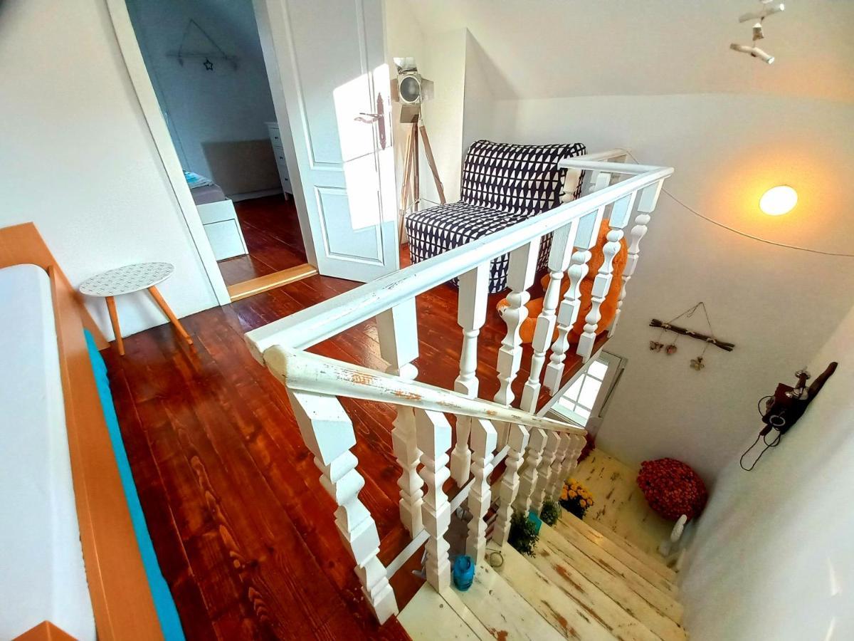 Honey Hill Apartment Fruska Gora Cerevic ภายนอก รูปภาพ