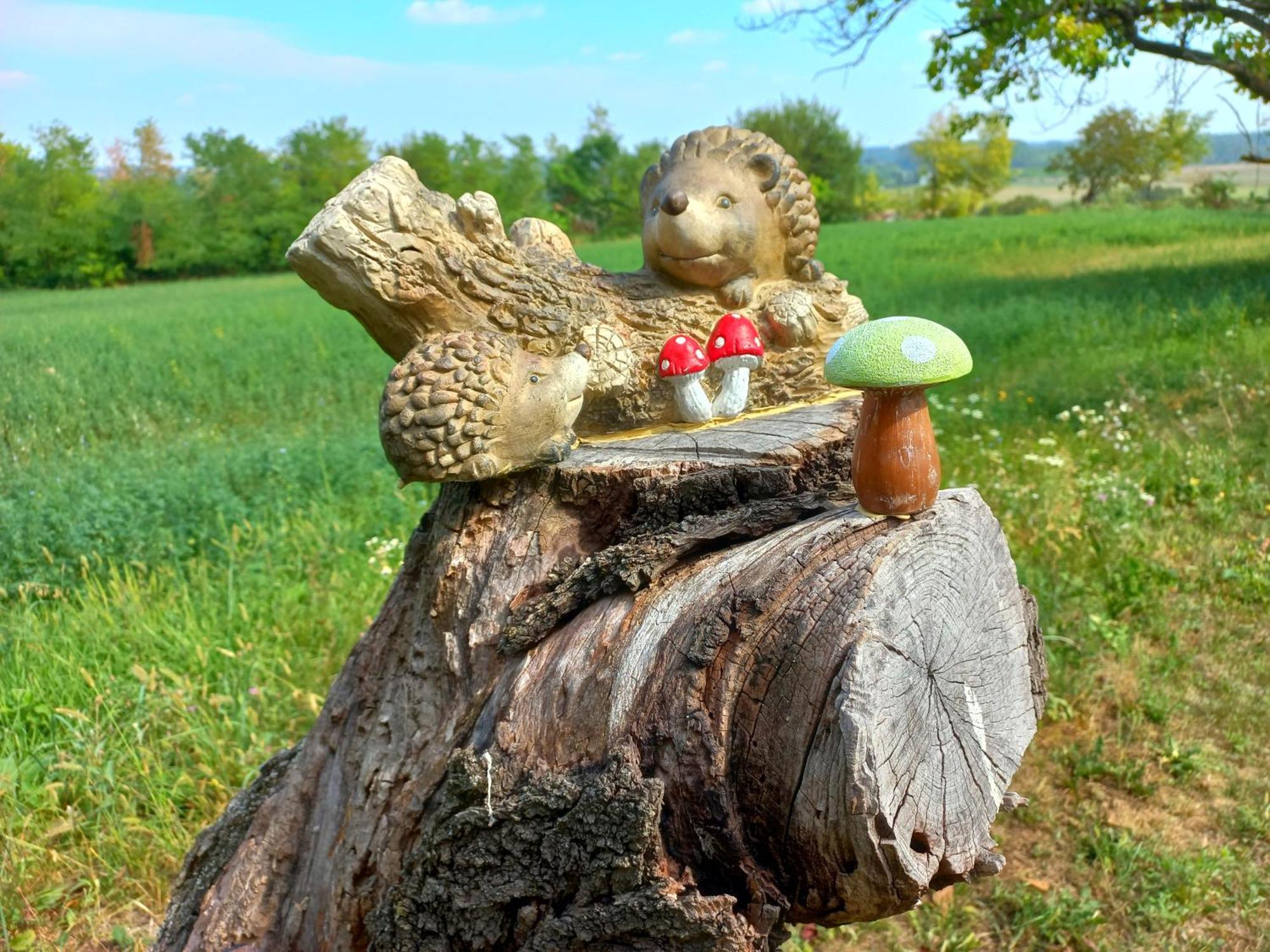 Honey Hill Apartment Fruska Gora Cerevic ภายนอก รูปภาพ