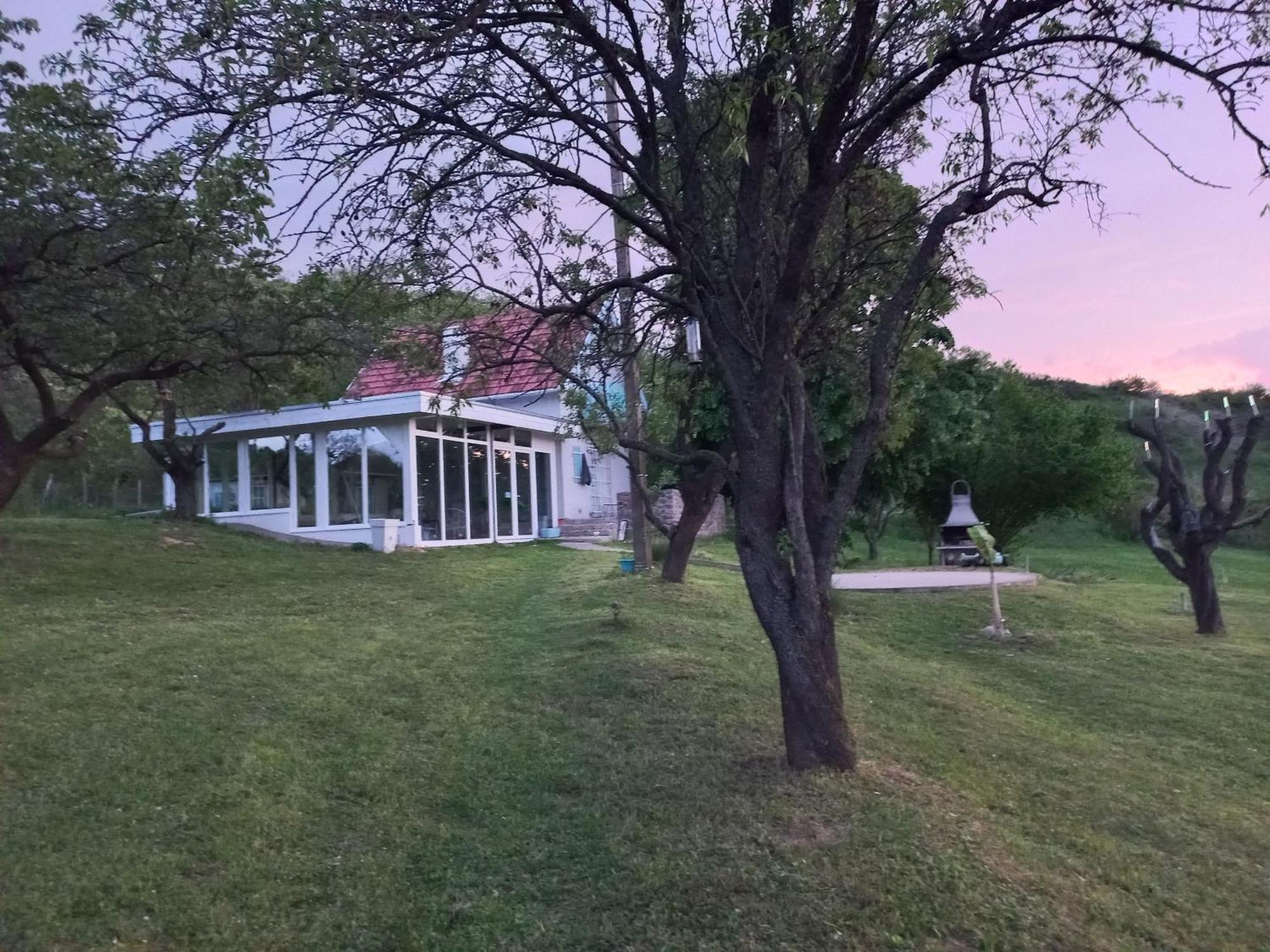 Honey Hill Apartment Fruska Gora Cerevic ภายนอก รูปภาพ
