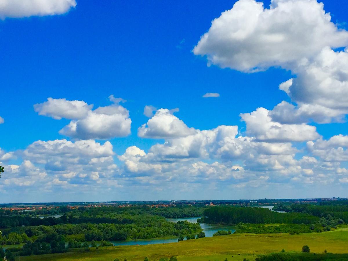 Honey Hill Apartment Fruska Gora Cerevic ภายนอก รูปภาพ