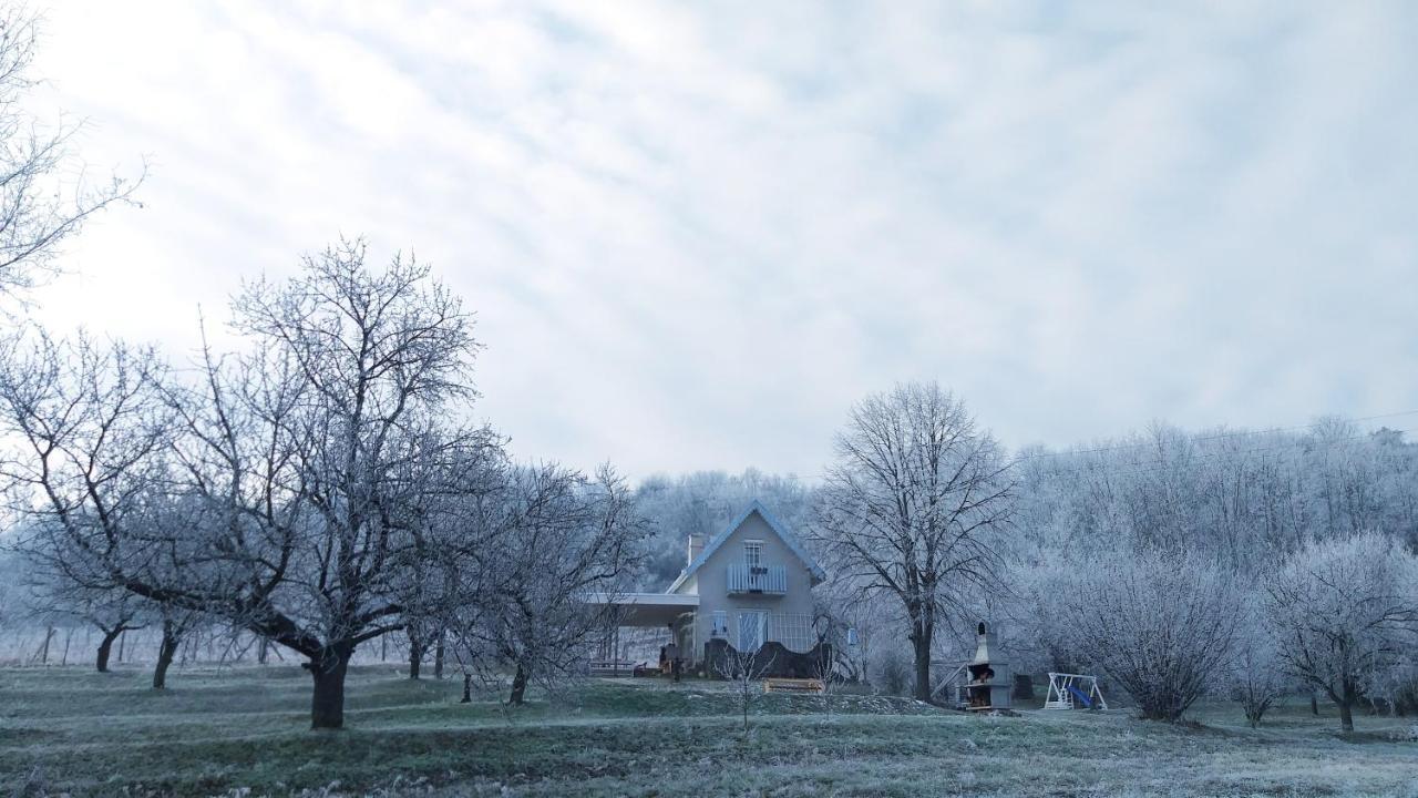Honey Hill Apartment Fruska Gora Cerevic ภายนอก รูปภาพ